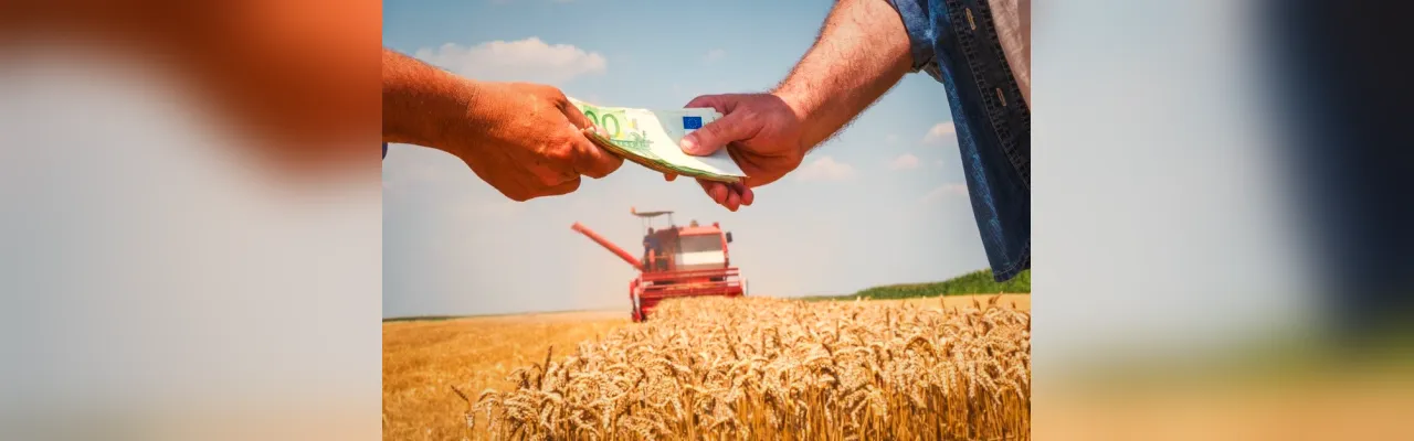 Cum alegi finanțarea potrivită pentru afacerea ta